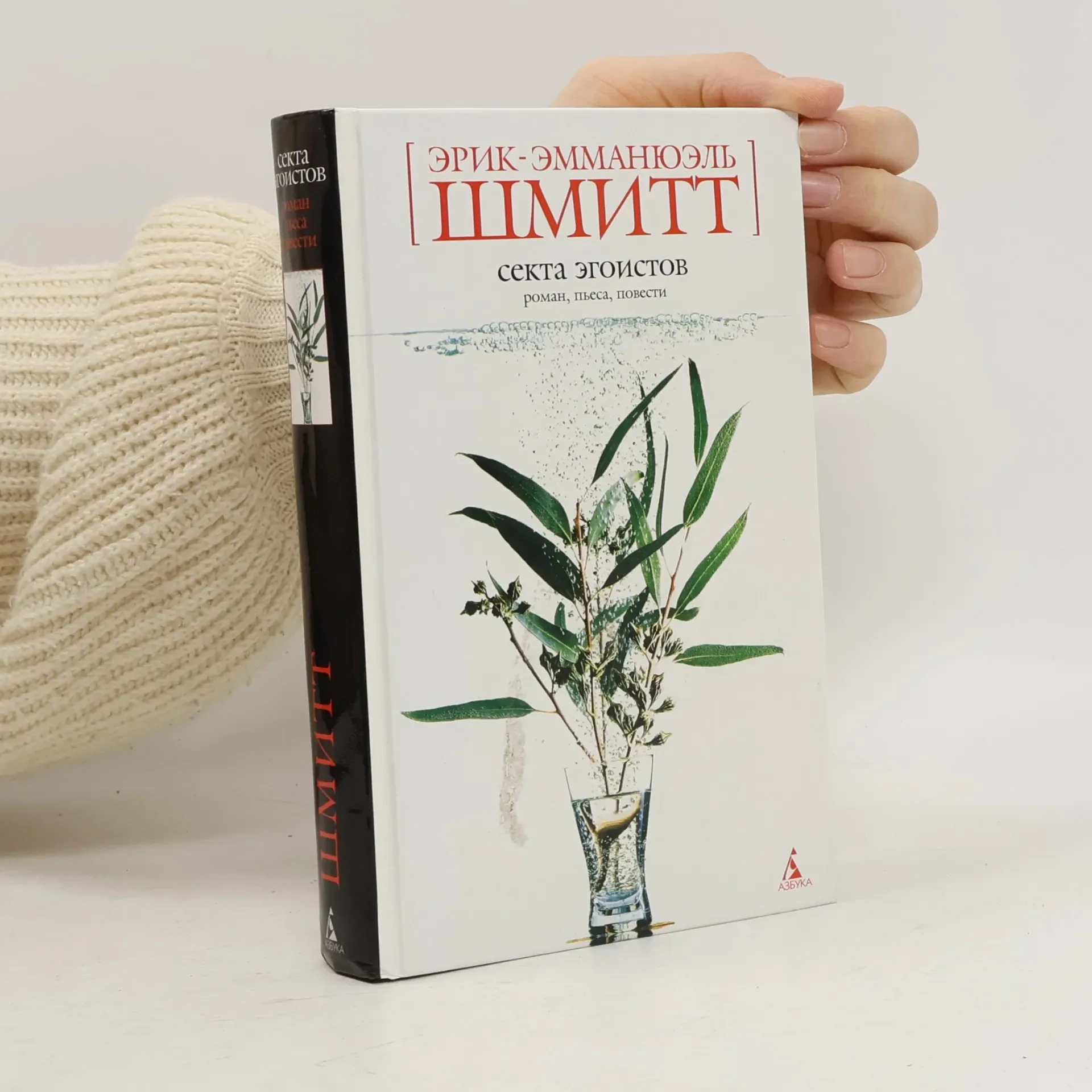 Обложка книги «Секта эгоистов»