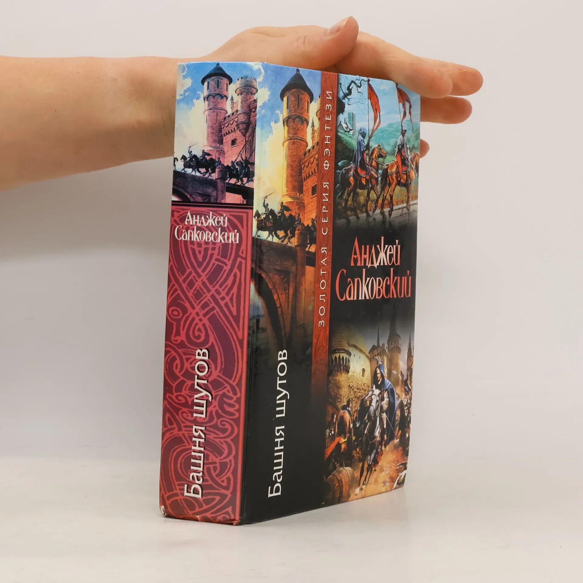 Обложка книги «Башня шутов»