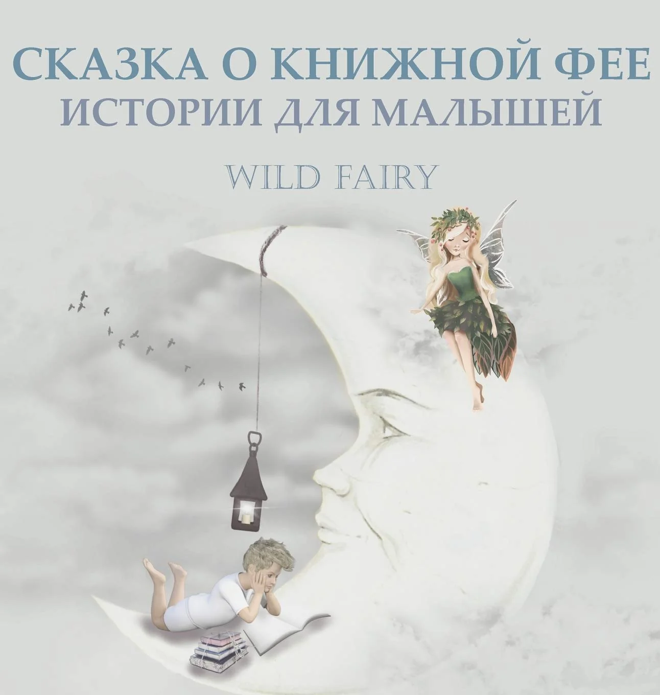 Обложка книги «СКАЗКА О КНИЖНОЙ ФЕЕ: ИСТОРИИ ДЛЯ МАЛЫШЕЙ»