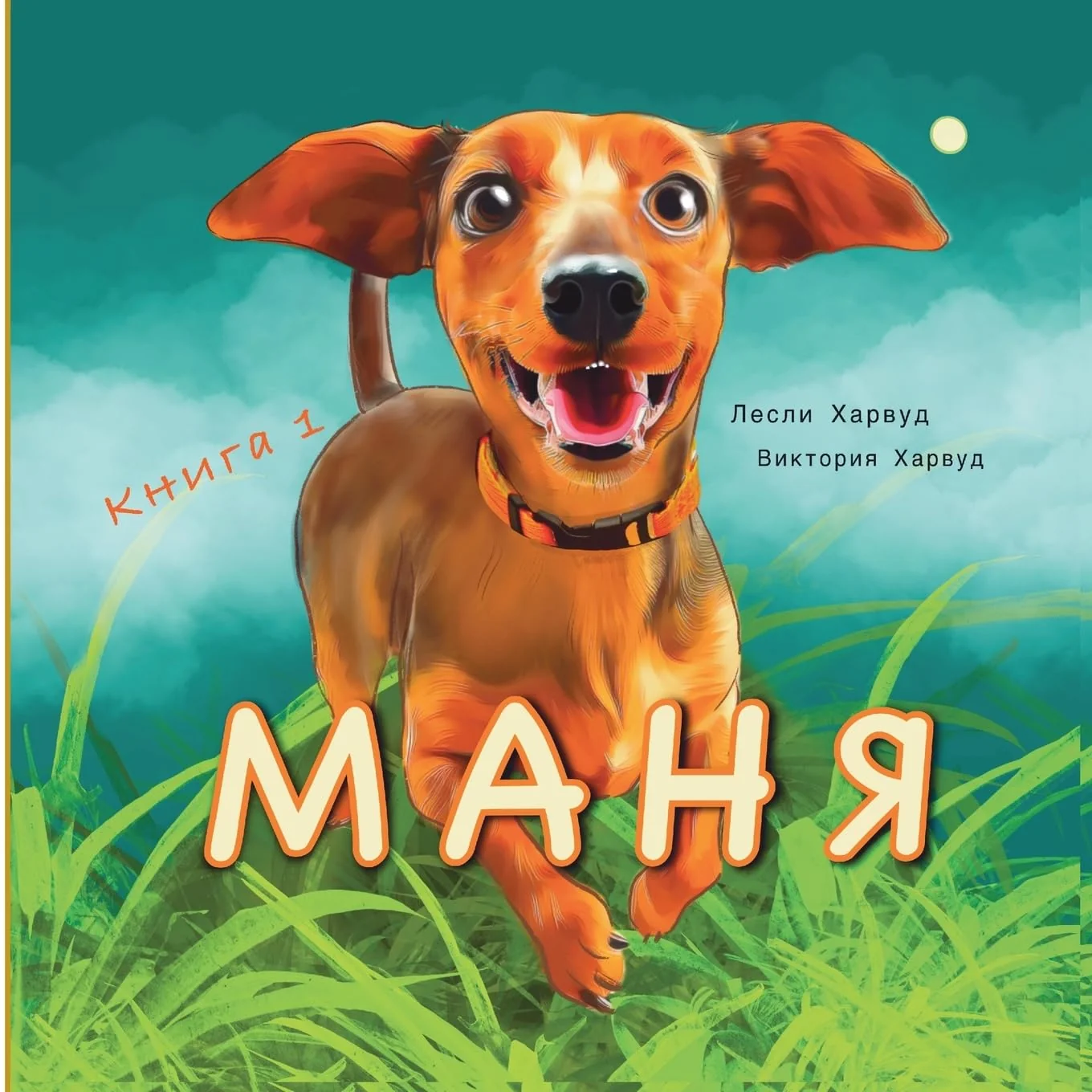 Обложка книги «Маня: На хвосте у приключений!»