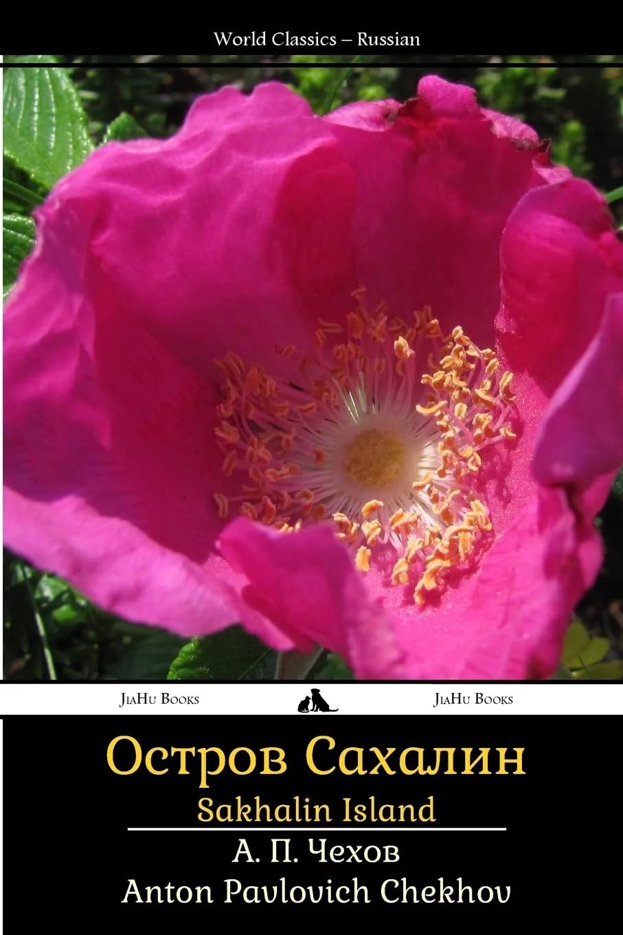 Обложка книги «Sakhalin Island»