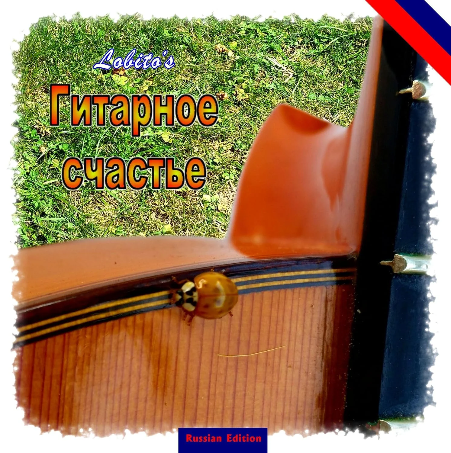 Обложка книги «Lobito's Gitarrenglück - Russian Edition: Geschenkbuch in russischer Sprache»