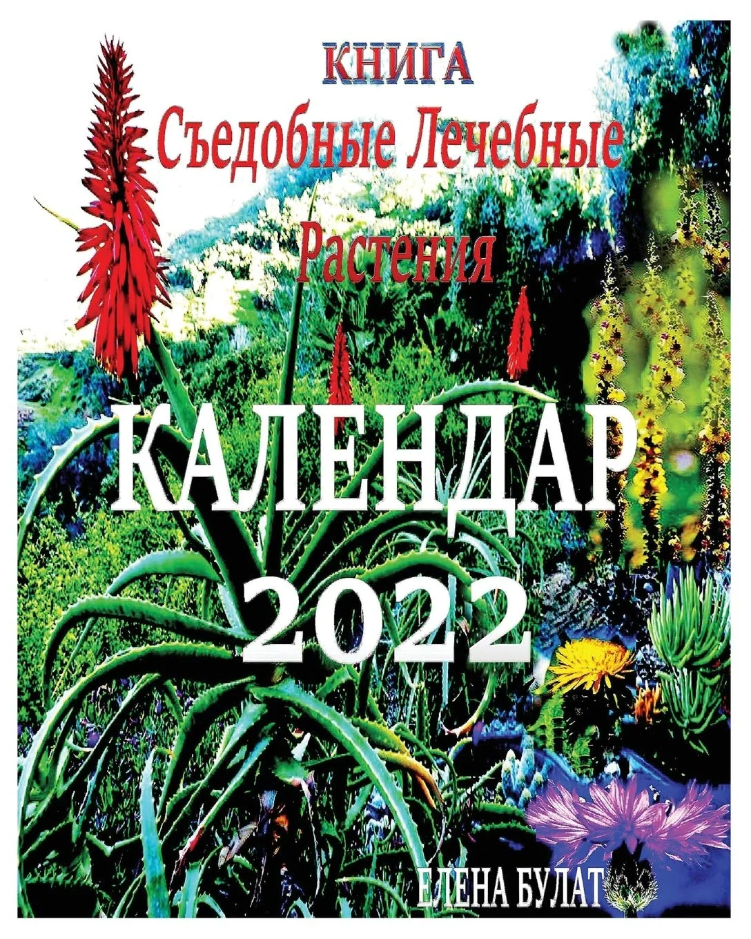 Обложка книги «Книга. Календар 2022: ... 72;стения»
