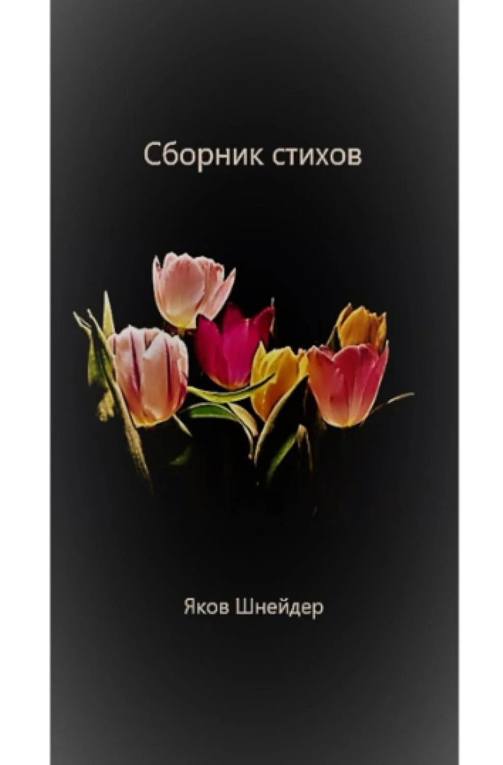 Обложка книги «Сборник стихов»