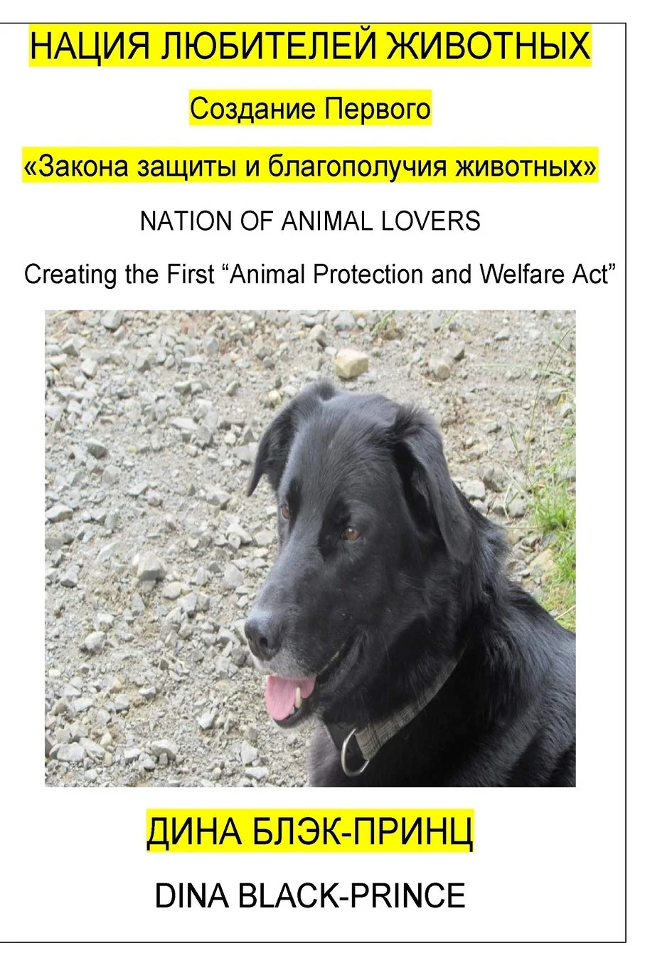 Обложка книги «Nation of Animal Lovers: Creating the First Animal Protection and Welfare Act»