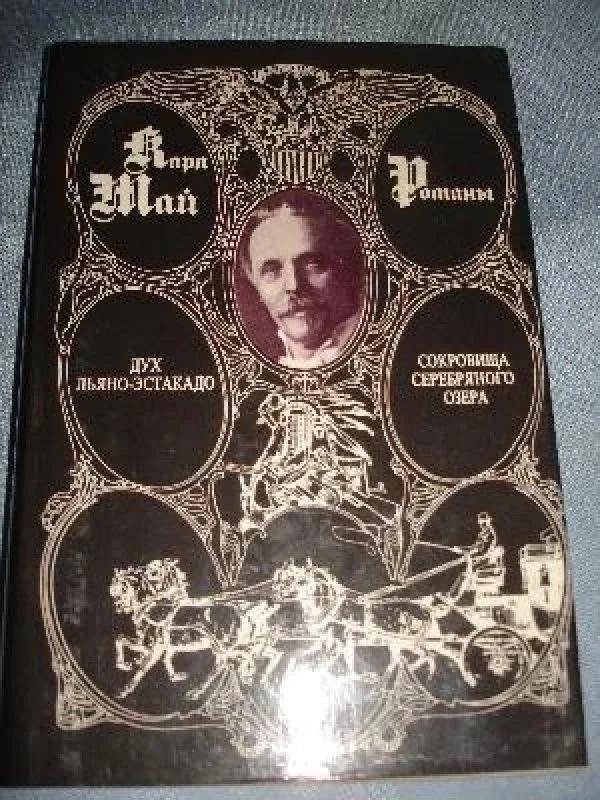 Обложка книги «Сокровища серебряного озера»