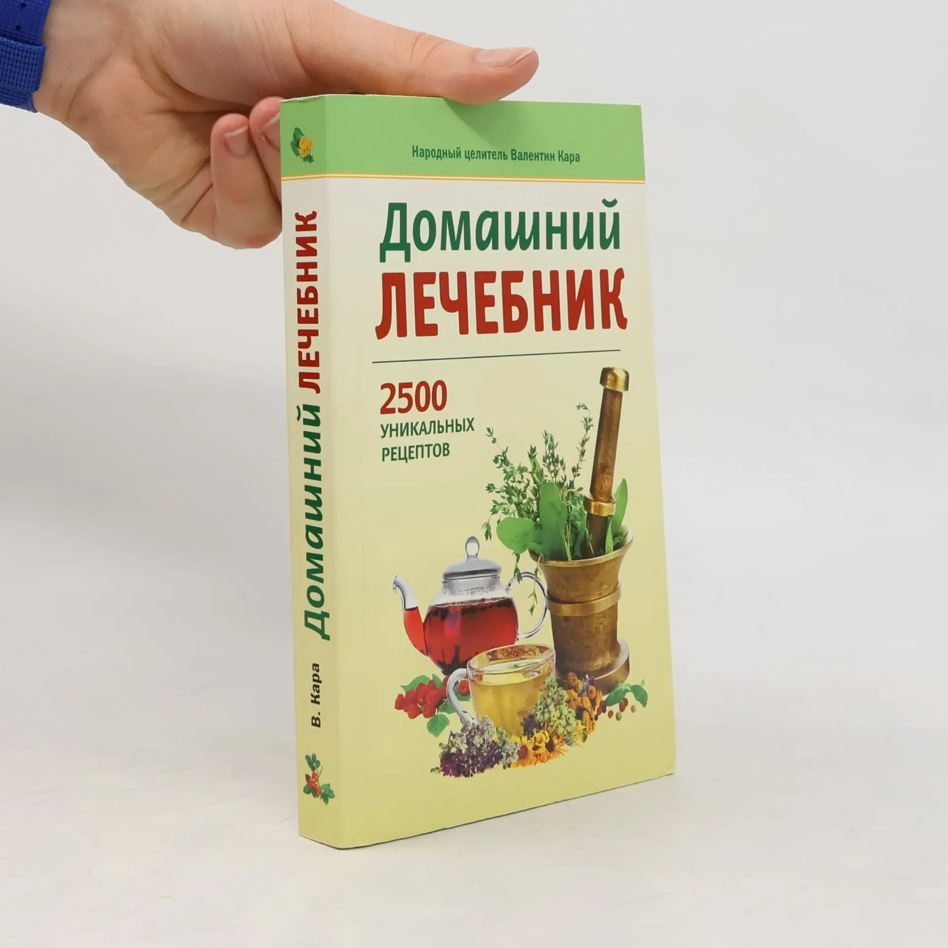Обложка книги «Домашний лечебник»