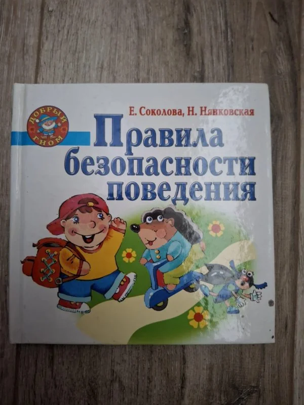 Обложка книги «Правила безопасности поведения»
