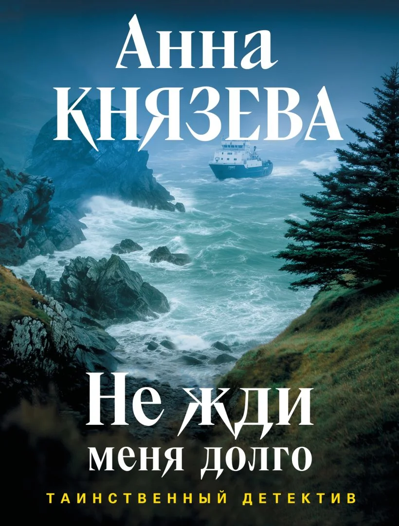 Обложка книги «Не жди меня долго»