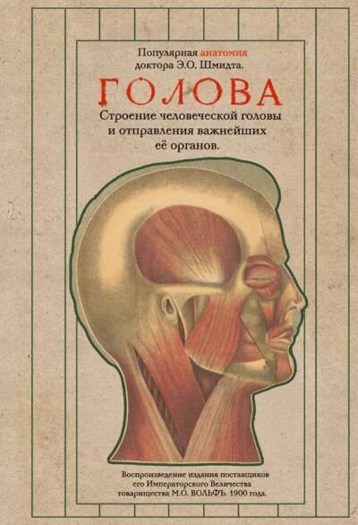 Обложка книги «Голова. Строение человеческой головы и отправления важнейших её органов»