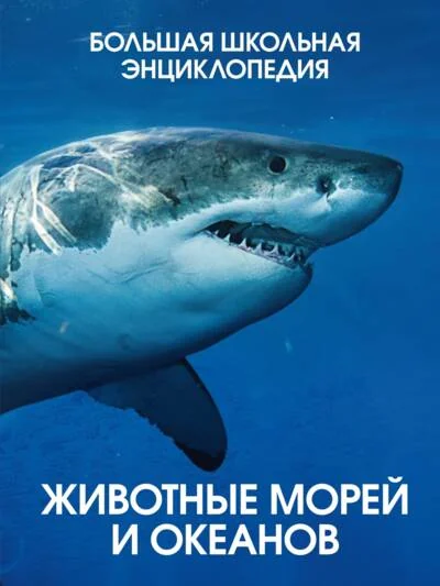 Обложка книги «Животные морей и океанов. Большая школьная энциклопедия»