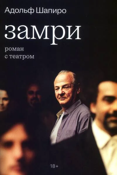 Обложка книги «Замри. Роман с театром»