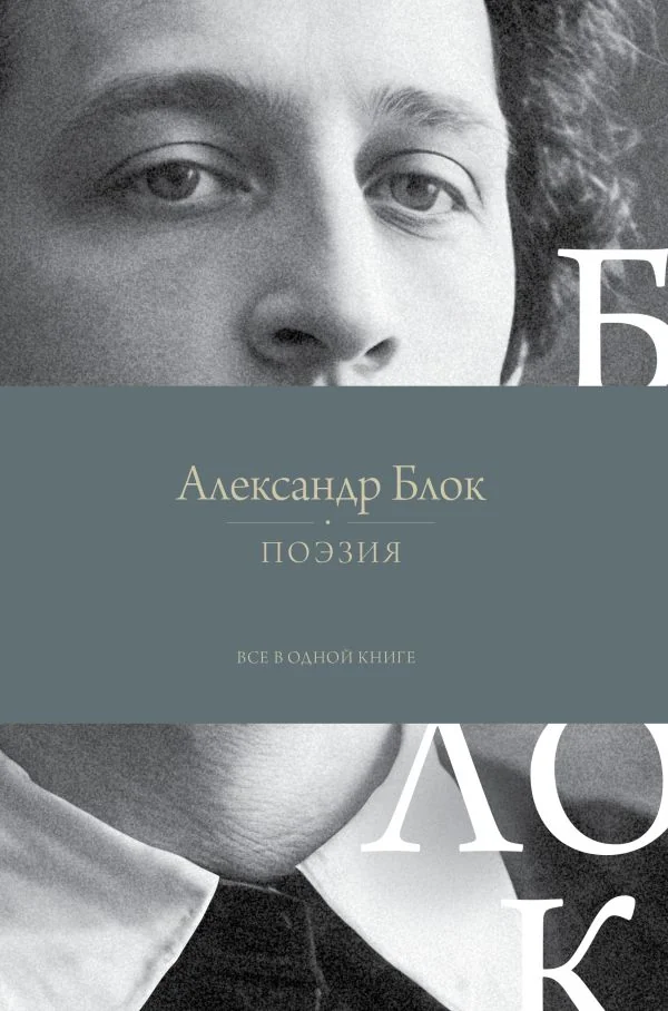 Обложка книги «Поэзия. Все в одной книге»