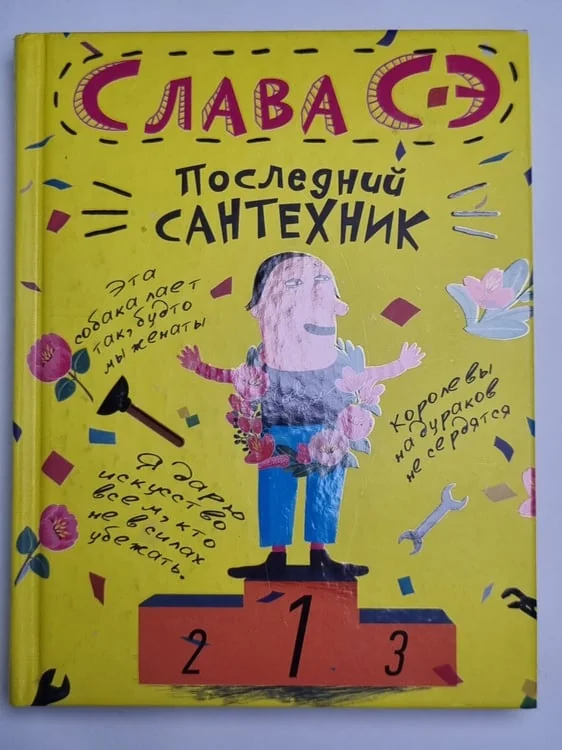 Обложка книги «Последний сантехник»