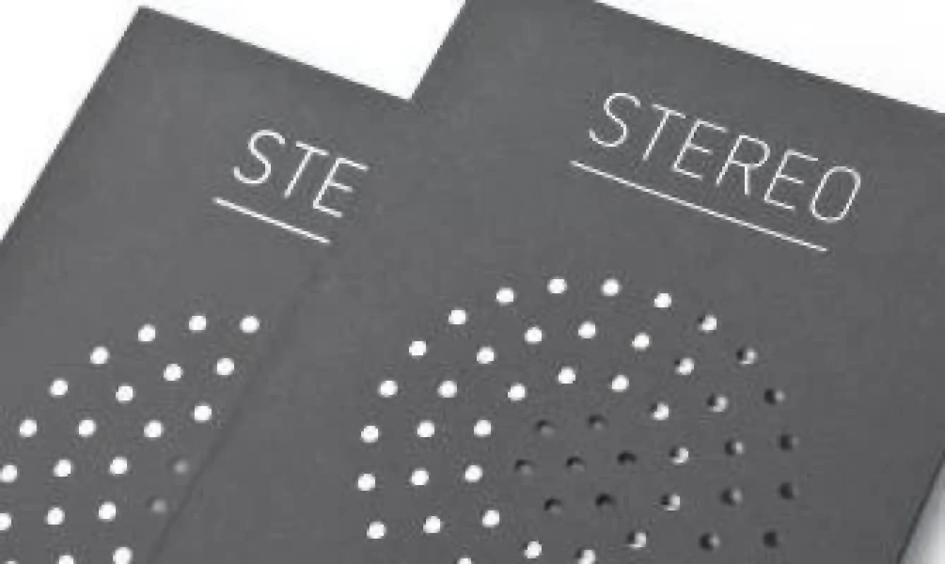 Обложка книги «Stereo»
