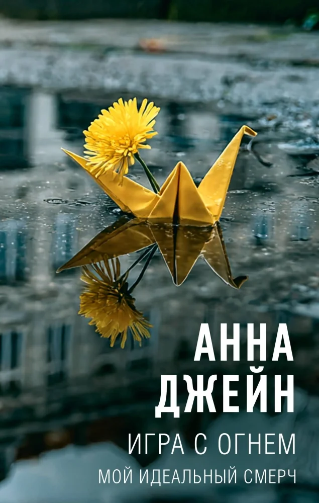 Обложка книги «Игра с огнем. Мой идеальный смерч»