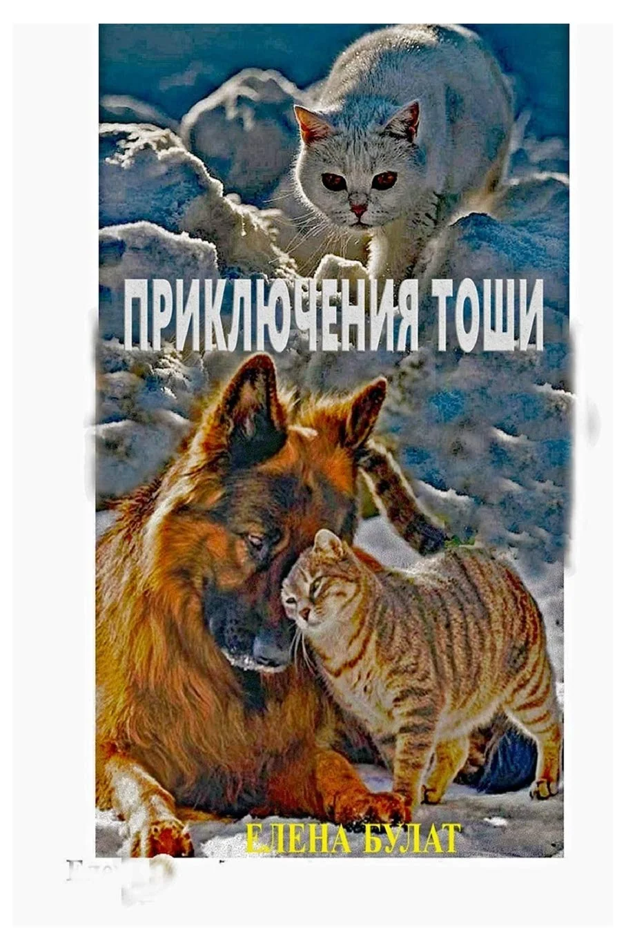 Обложка книги «Приключения Тоши»